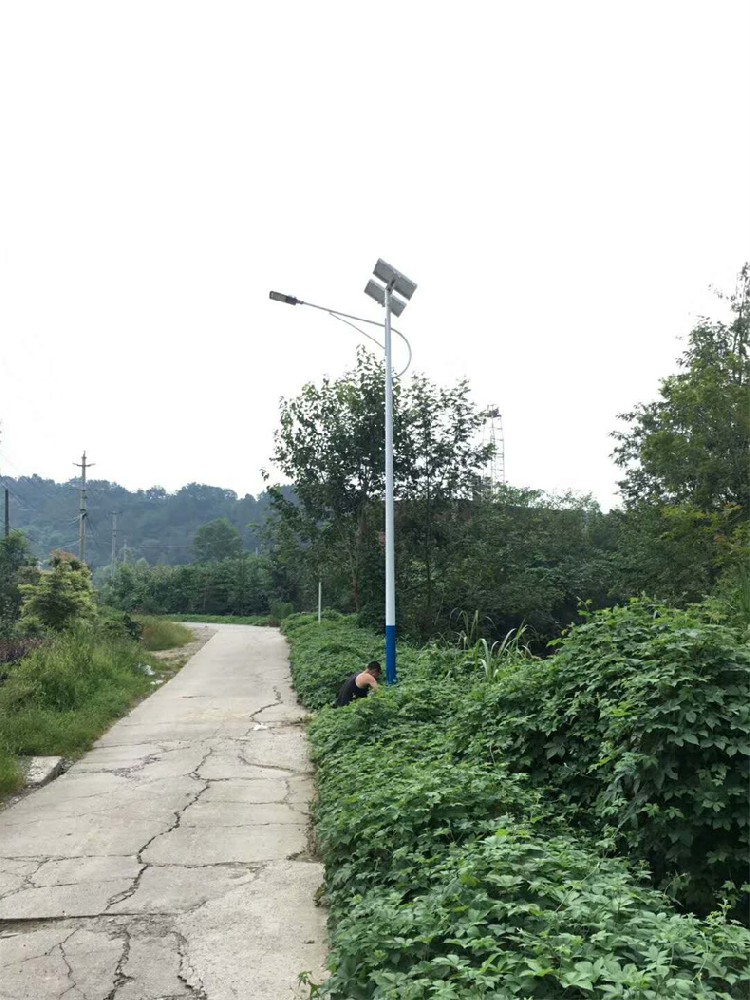 彭州麗春鎮太陽能(néng)路燈